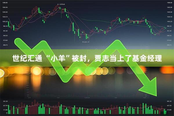 世纪汇通 “小羊”被封，贾志当上了基金经理