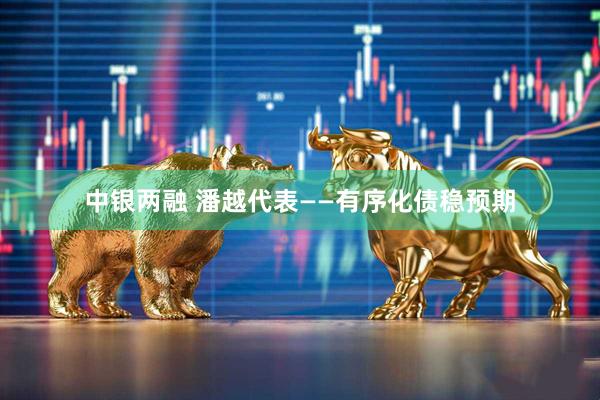 中银两融 潘越代表——有序化债稳预期