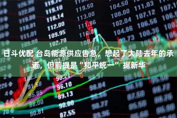 日斗优配 台岛能源供应告急，想起了大陆去年的承诺，但前提是“和平统一” 据新华