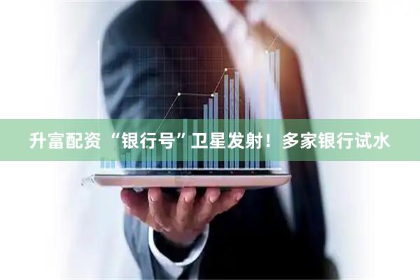 升富配资 “银行号”卫星发射！多家银行试水
