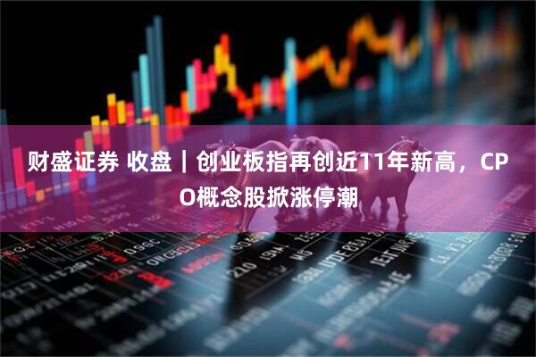 财盛证券 收盘｜创业板指再创近11年新高，CPO概念股掀涨停潮
